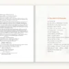 Pages 2 and 3 of Antalya's Moment